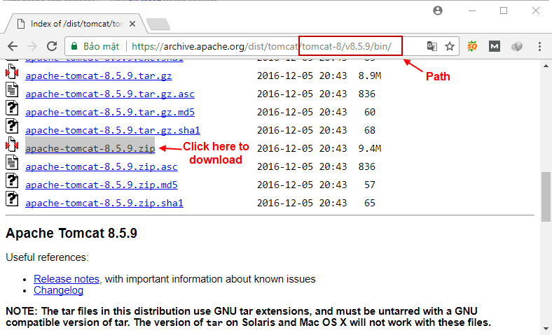 Download Tomcat server