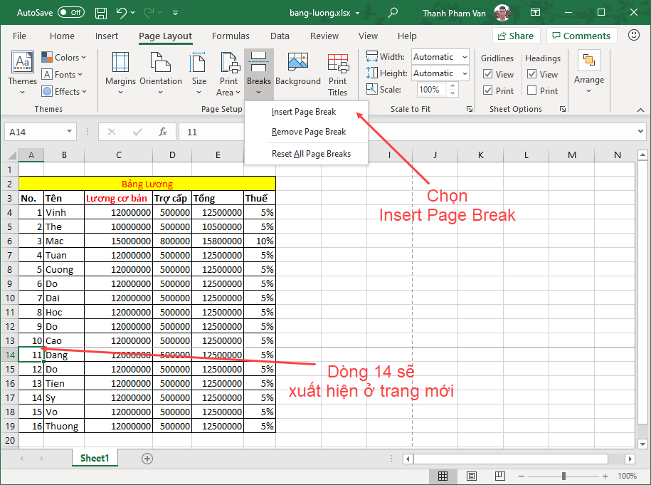 Chèn ngắt trang trong Excel