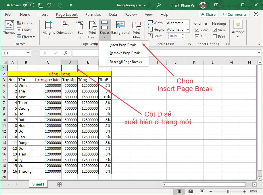 Chèn ngắt trang trong Excel