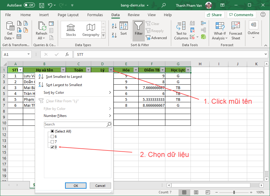 Lọc dữ liệu (Data Filter) trong Excel